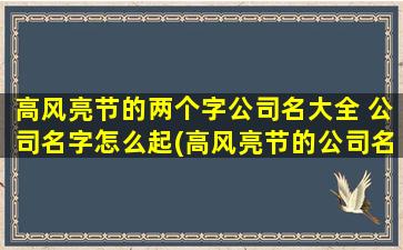 高风亮节的两个字公司名大全 公司名字怎么起(高风亮节的公司名大全，让企业品牌更具诚信力)